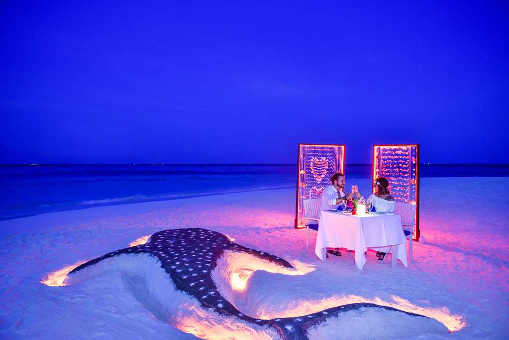 Romantic Dinner on beach ACR