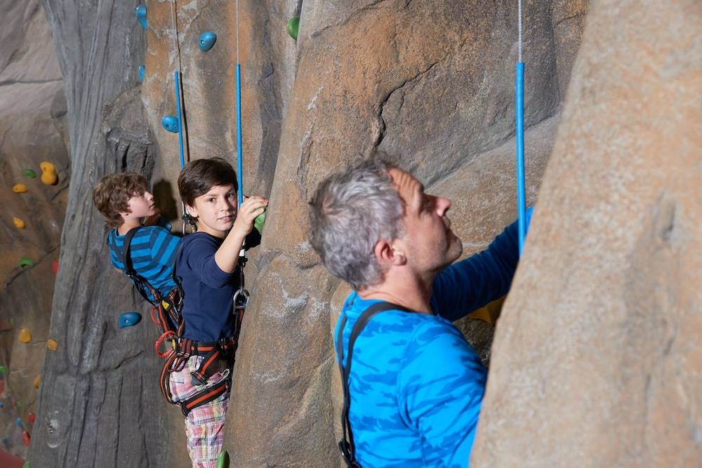 Rock climbing wall - indoor