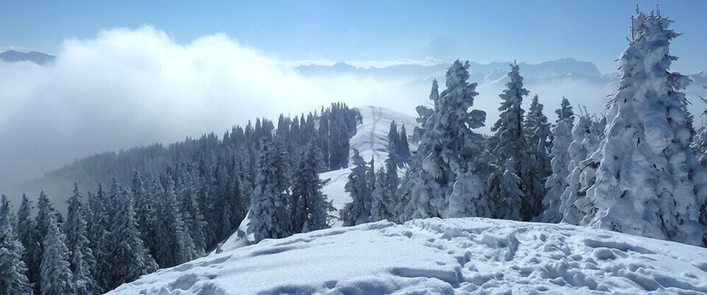 Snowshoeing