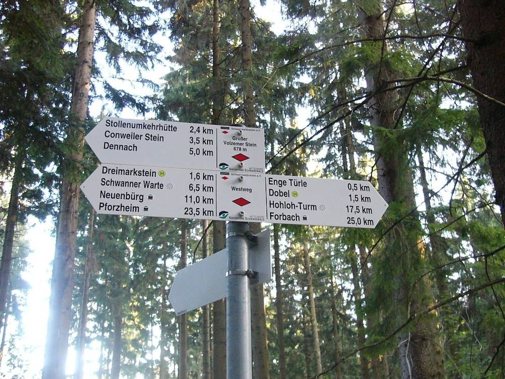 Hiking