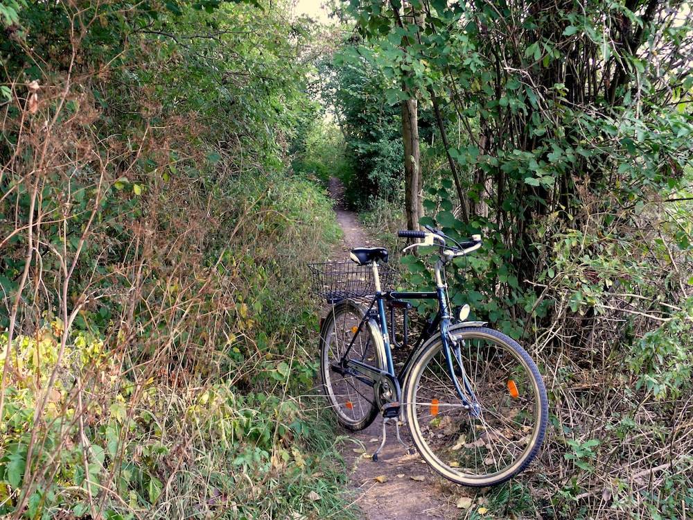 Bicycling