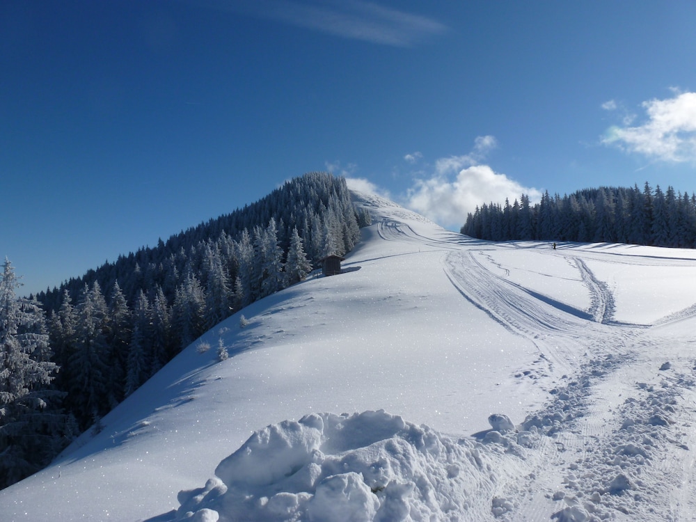 Snowshoeing