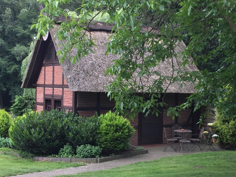 Primary image