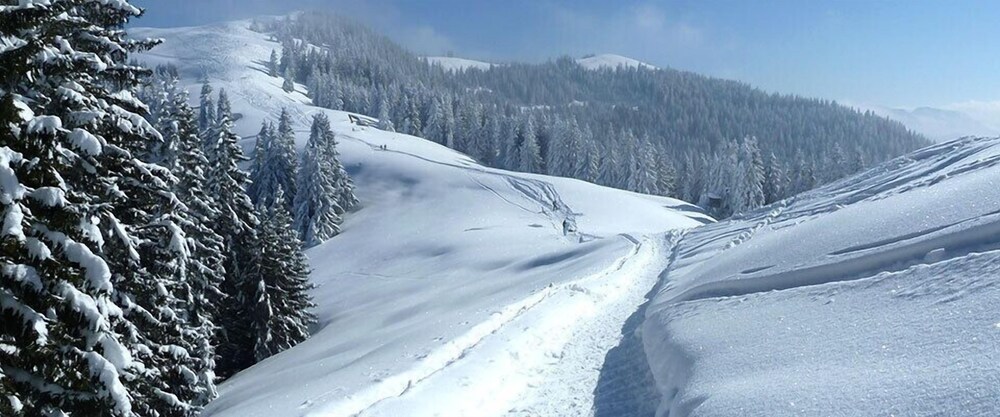 Snowshoeing