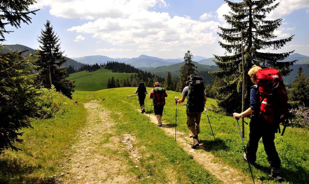 Hiking