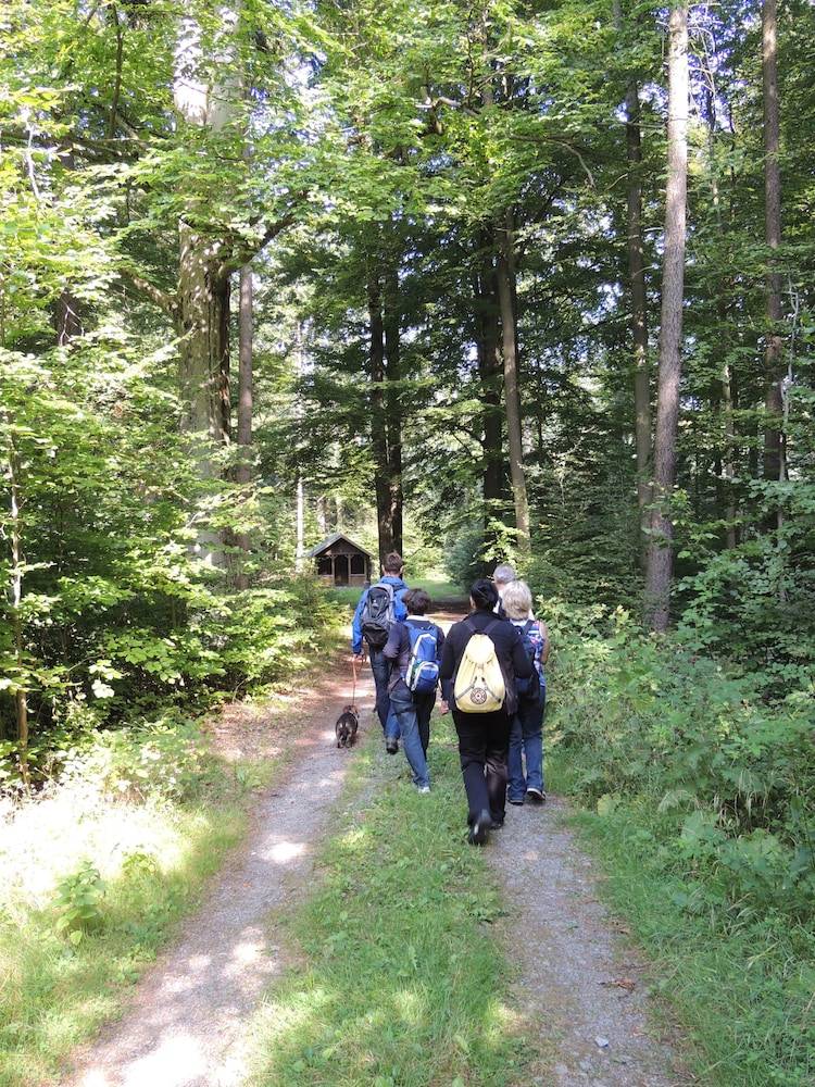 Hiking