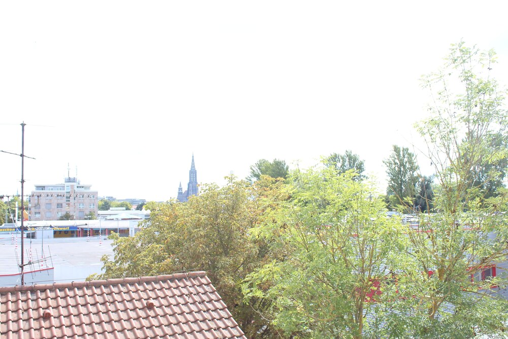 Guestroom View