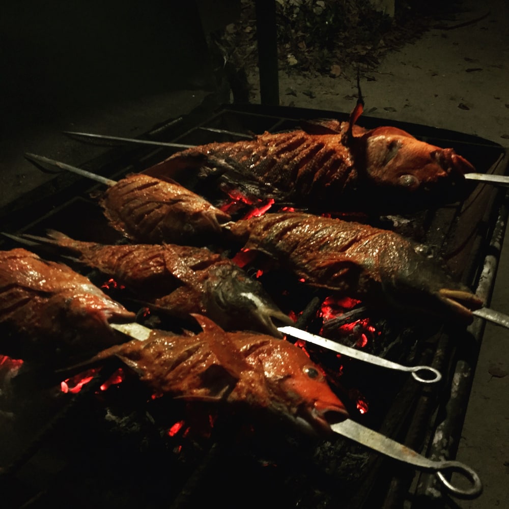 BBQ/picnic area