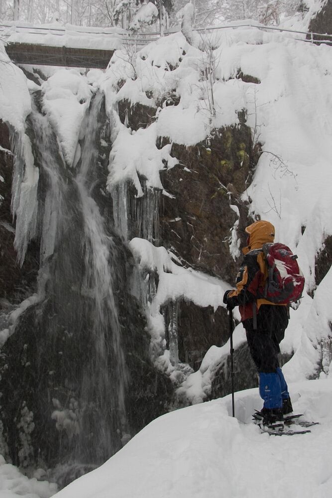 Snowshoeing