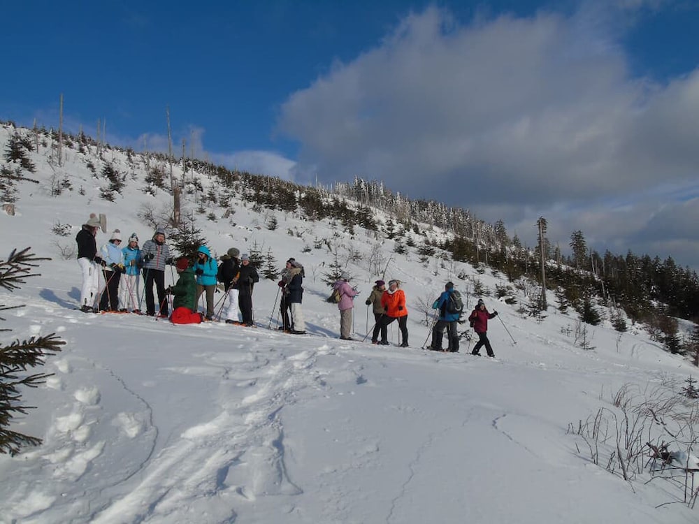 Snowshoeing