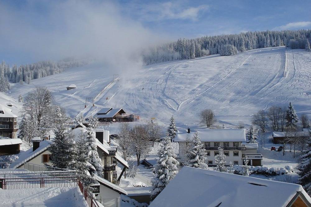 Skiing