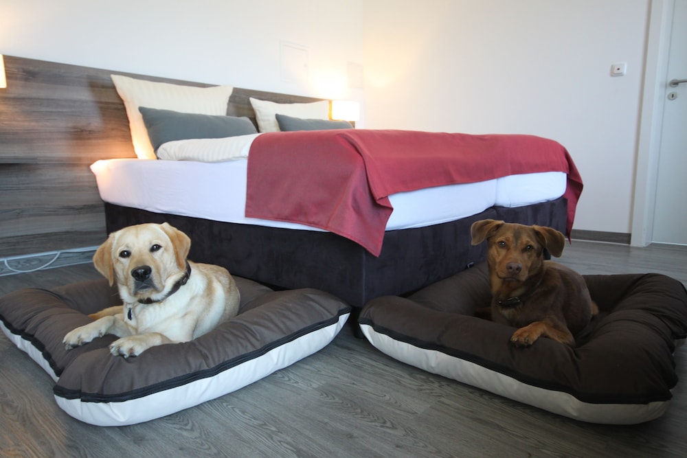 Pet-friendly