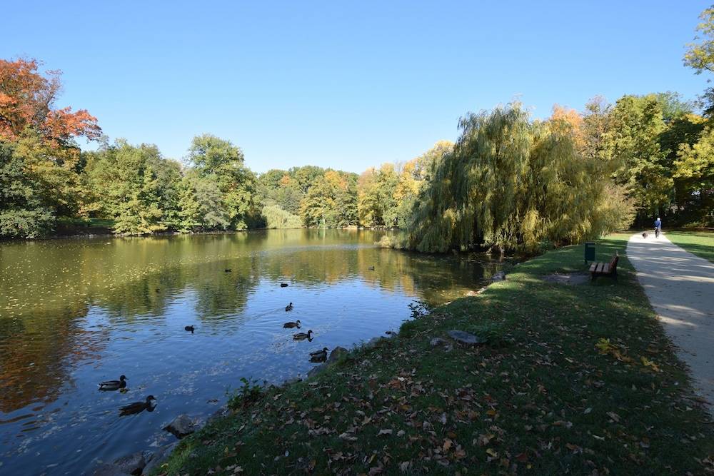 Lake