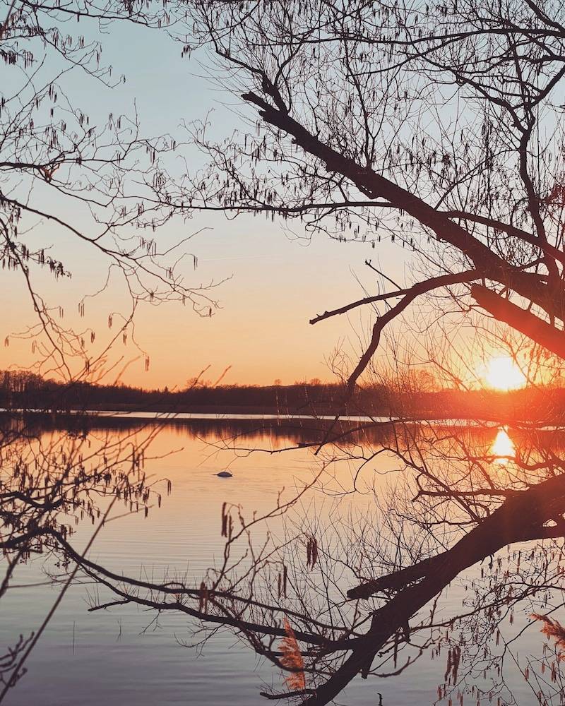 Water view