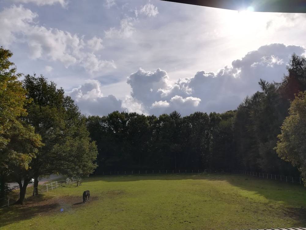 View from room