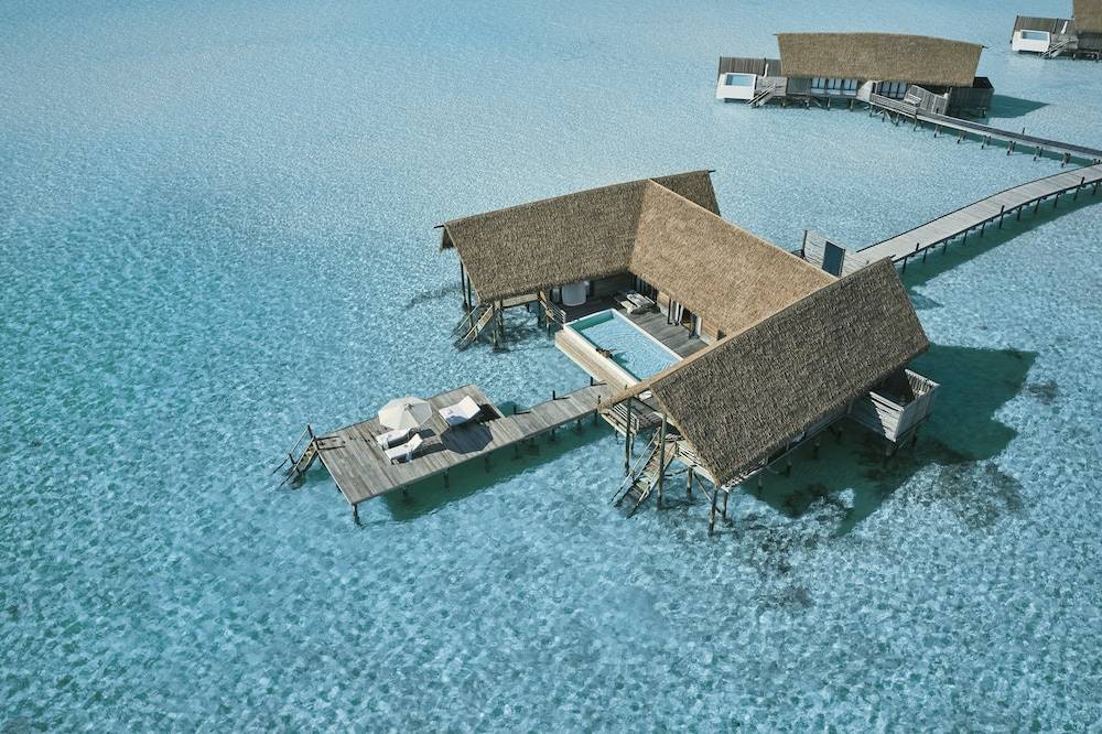 Primary image