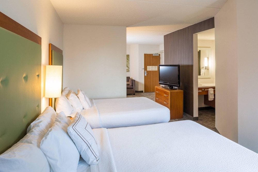 Springhill Suites by Marriott Hampton Coliseum - photo 5