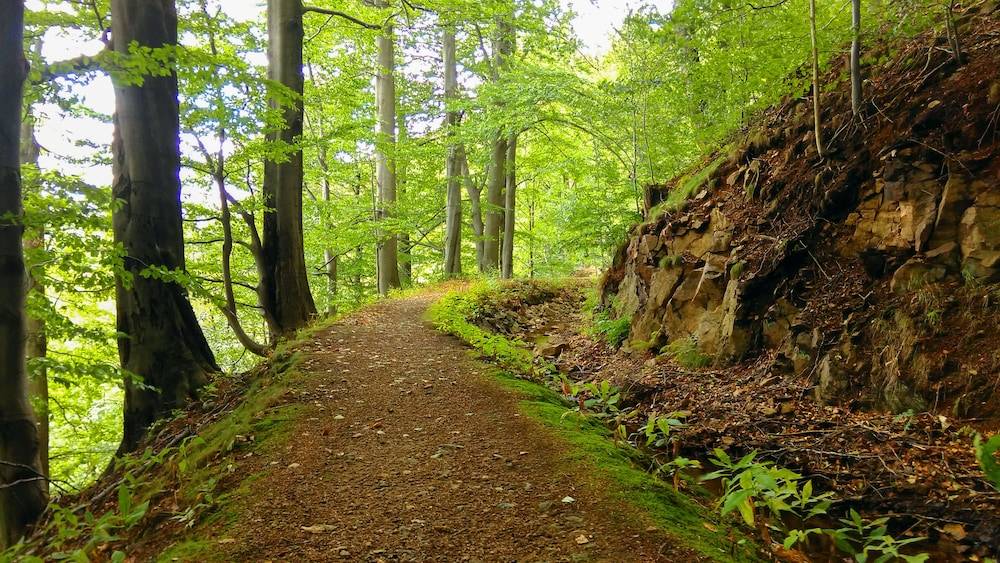 Hiking