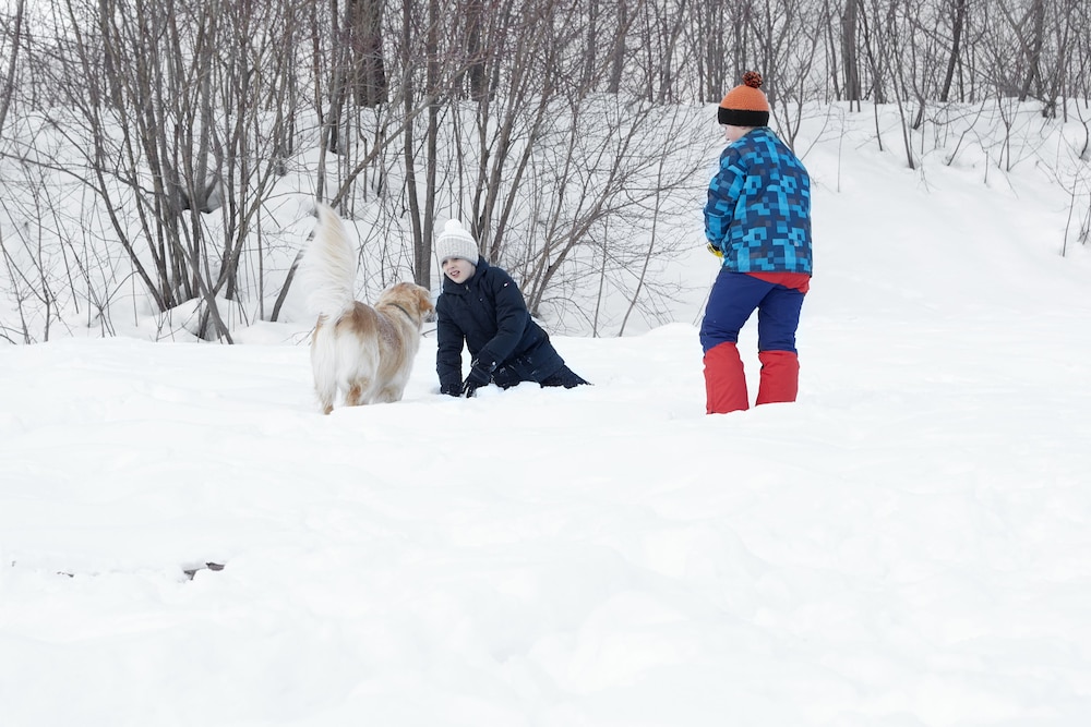 Sledding