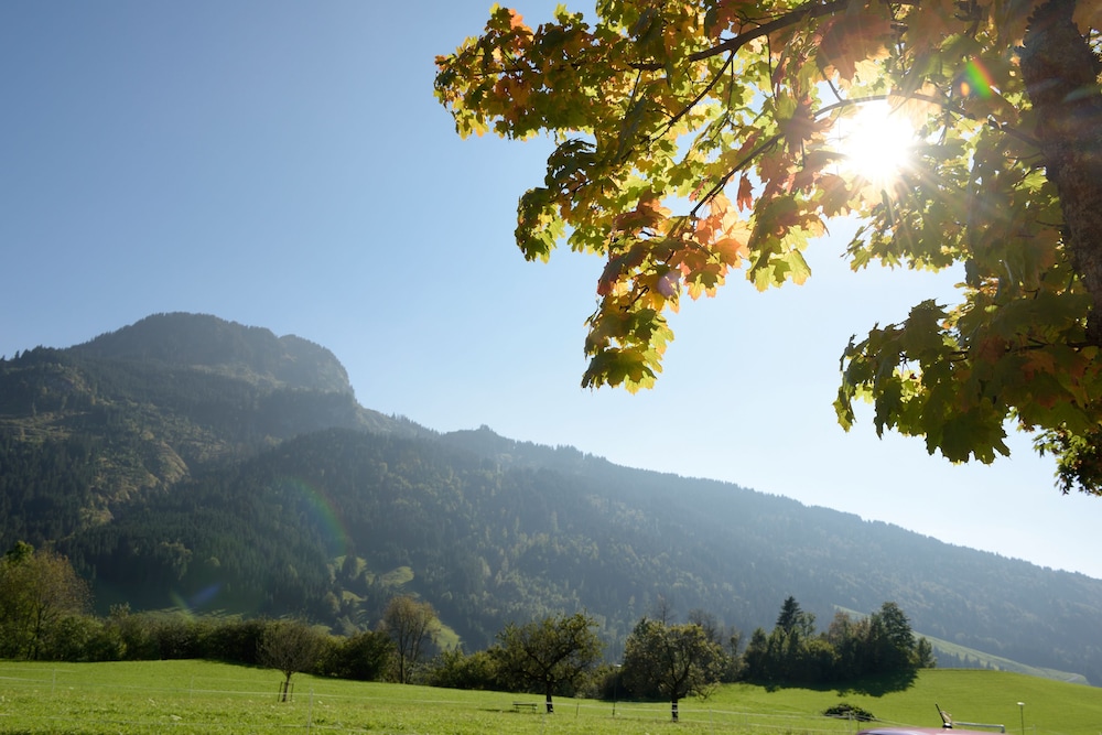 Mountain view