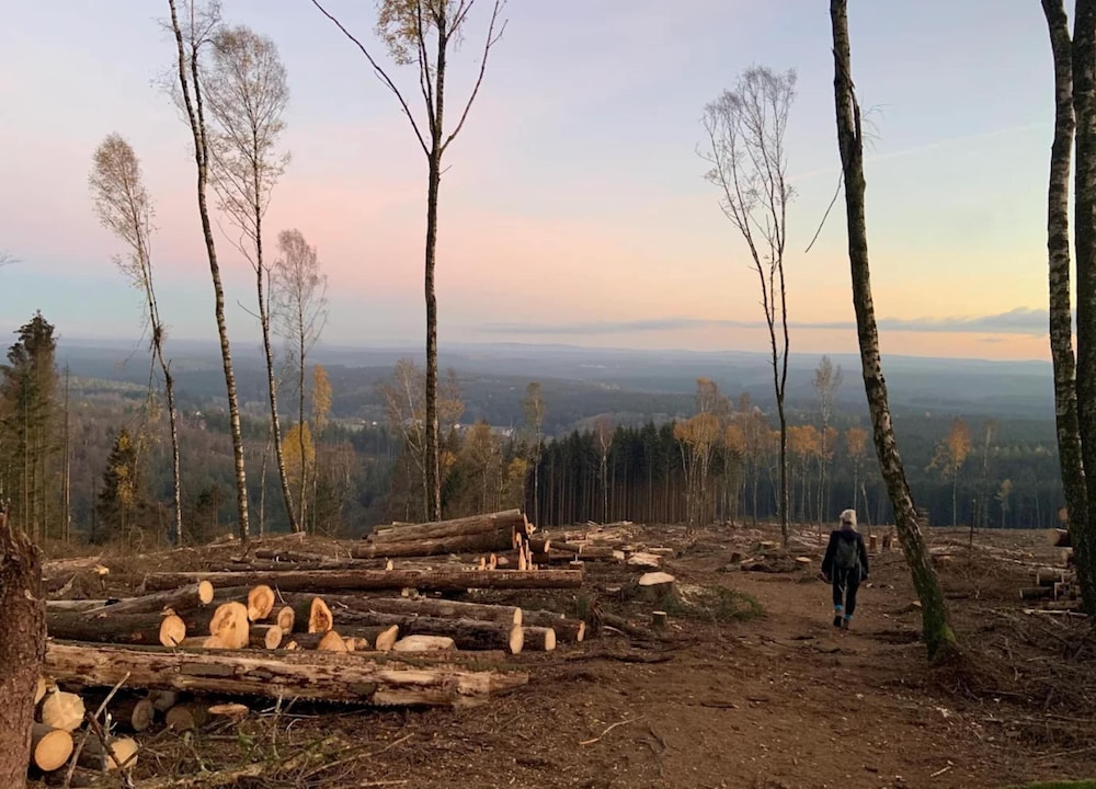 View from property