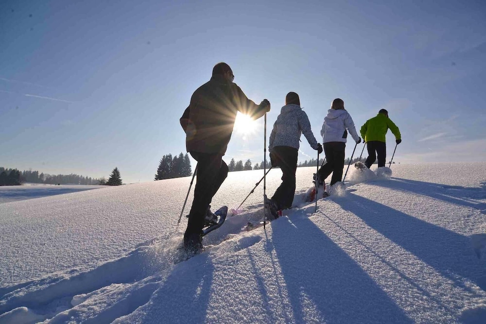 Snow and ski sports