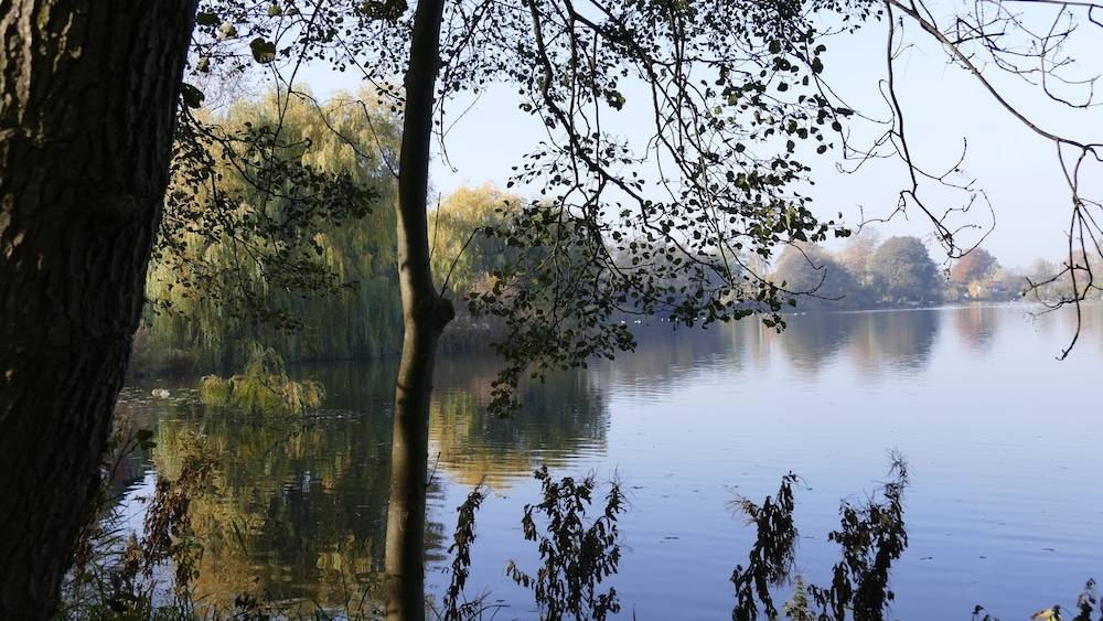 Lake