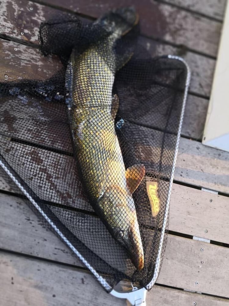 Fishing