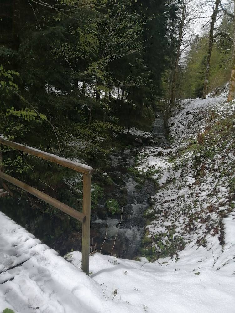 Hiking