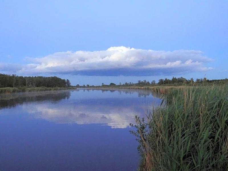 General view