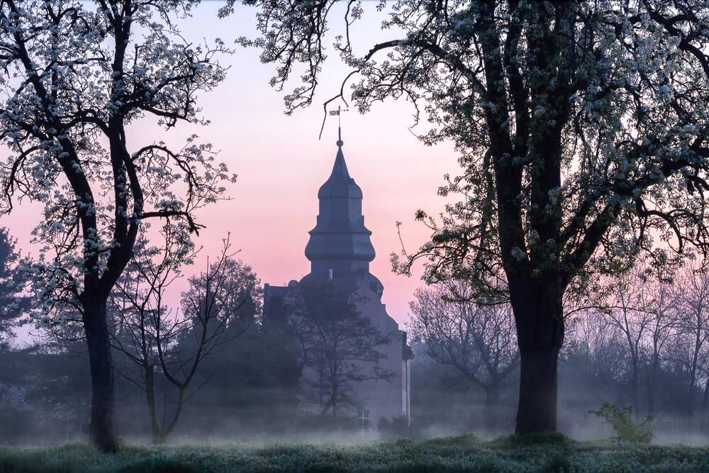 Featured Image
