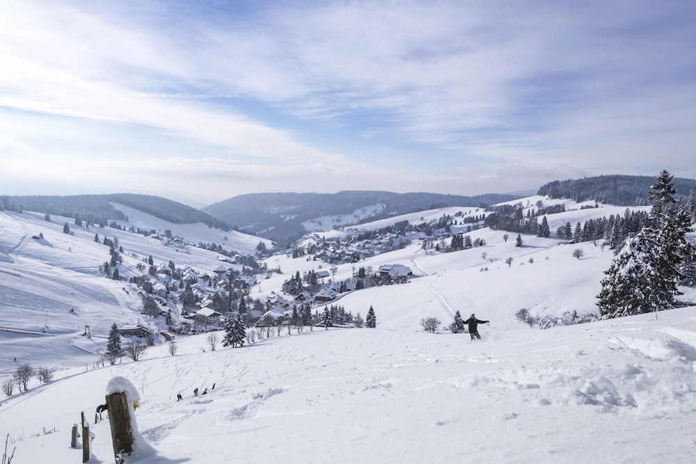 Skiing