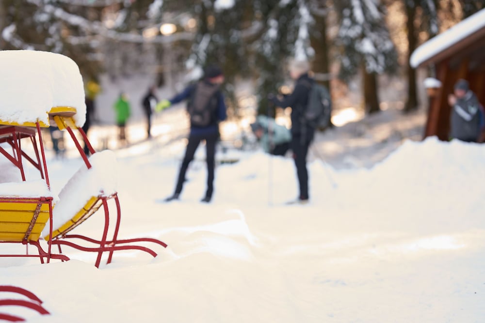 Snow and ski sports