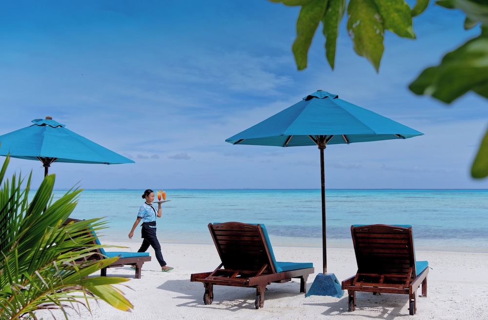 Beach bar