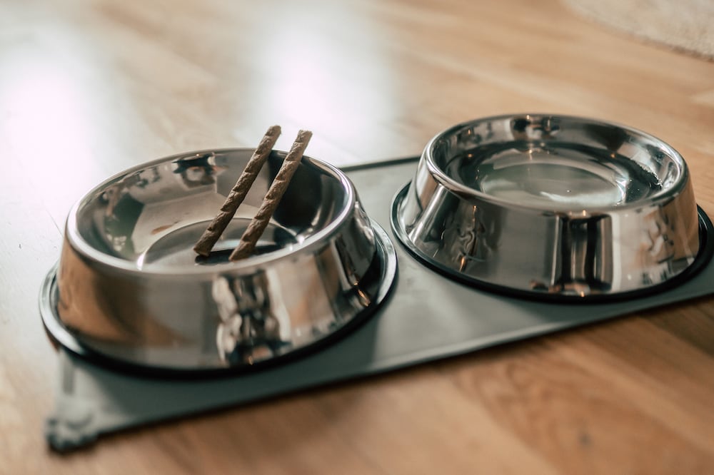 Pet-friendly amenities