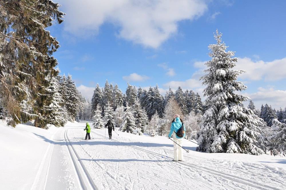 Skiing