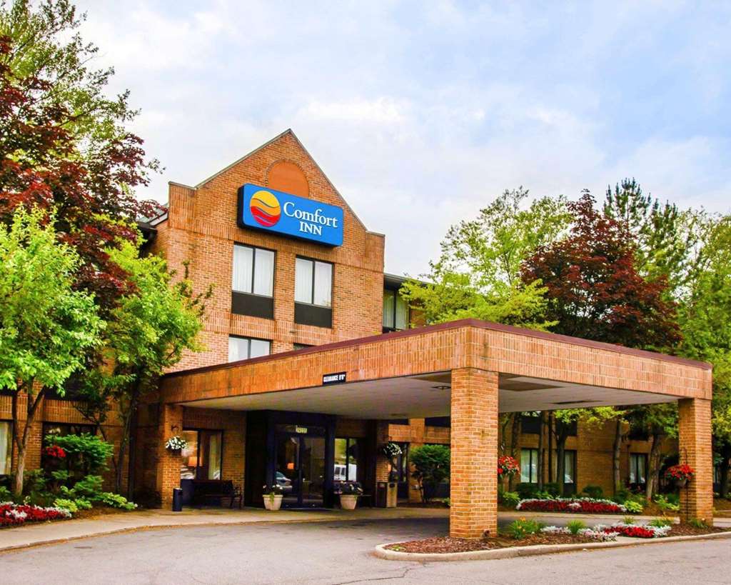 Comfort Inn Livonia - photo 2