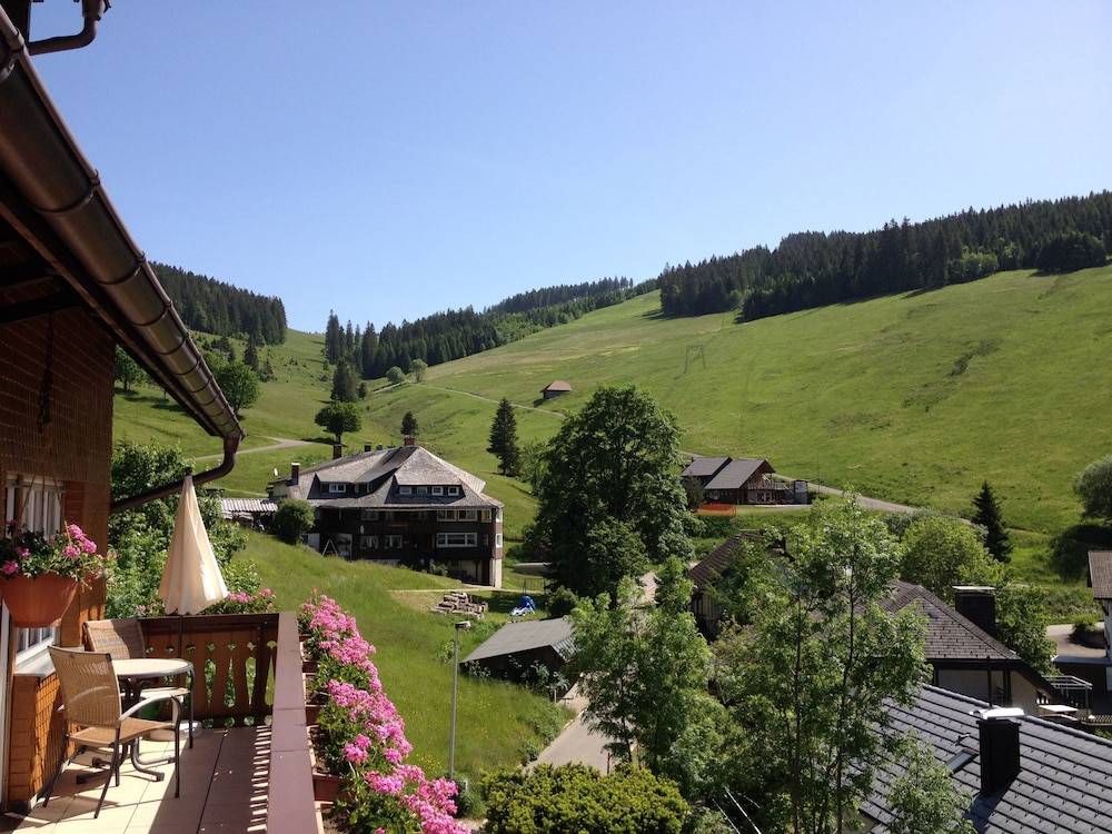 View from room