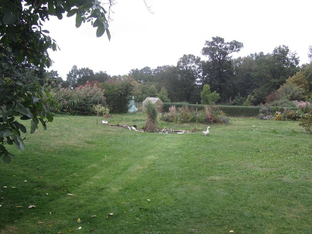 Garden