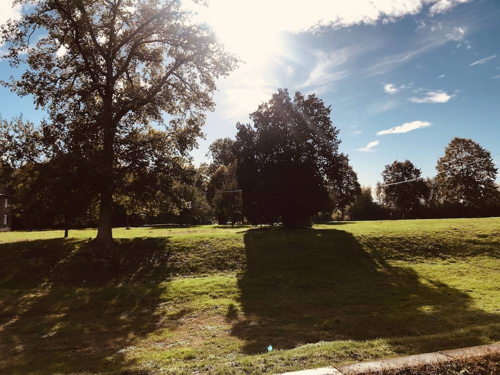 Garden view