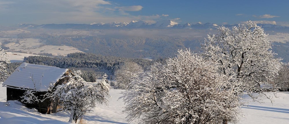 Land view from property