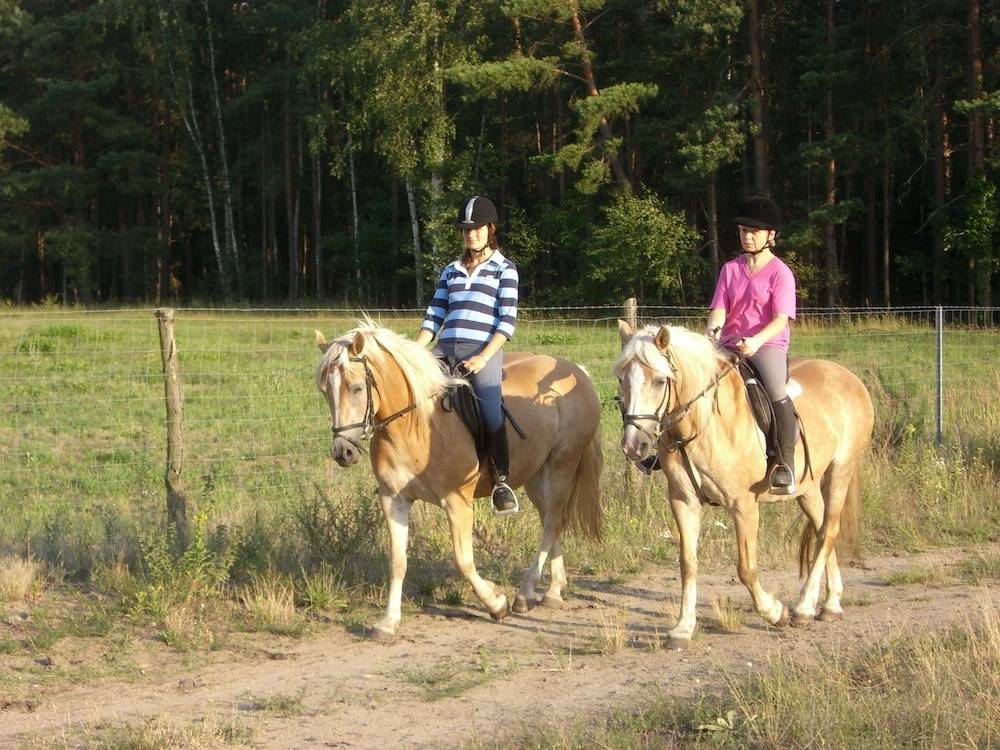Horseback riding