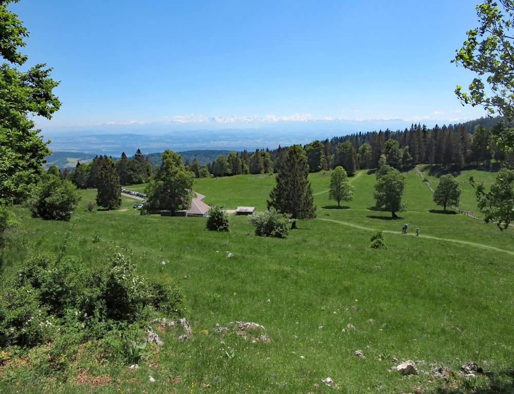 View from property