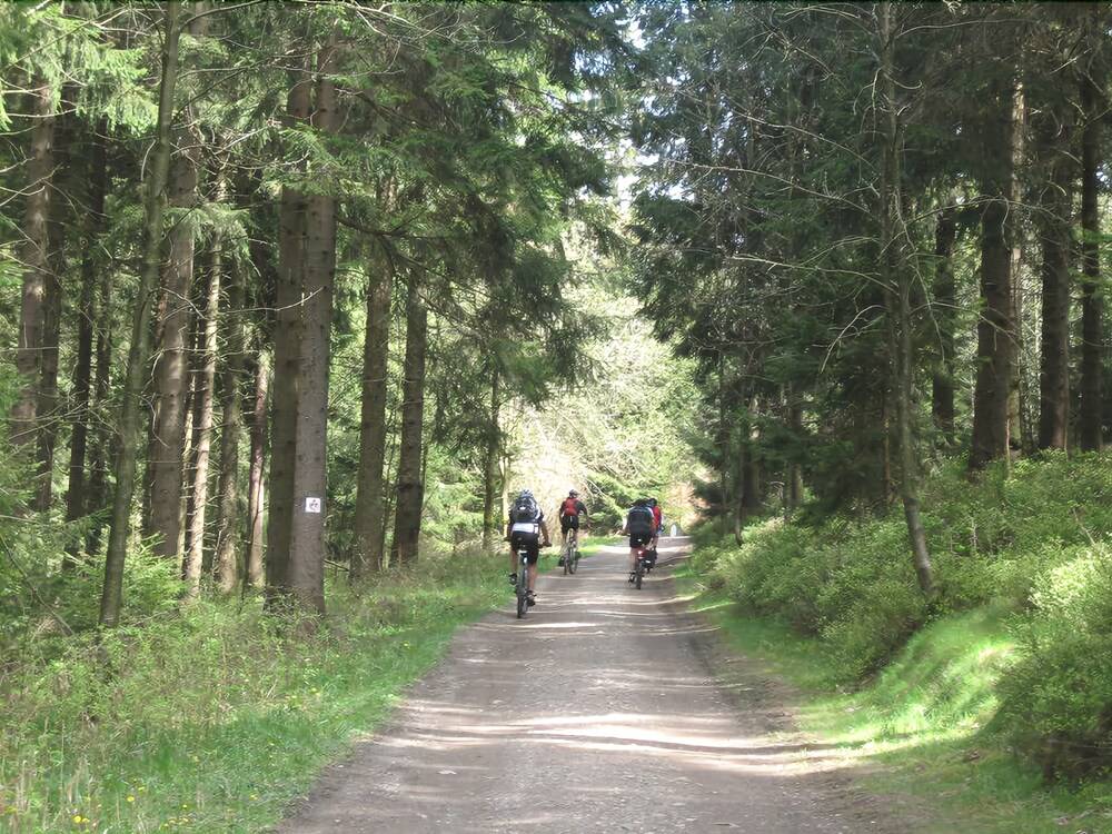 Bicycling