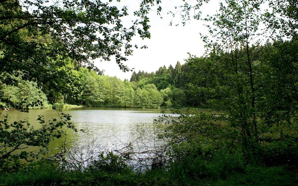 Lake