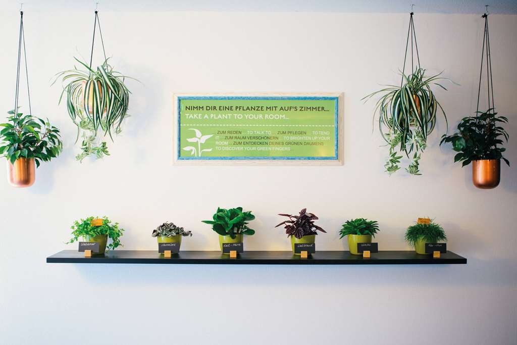 Property amenity