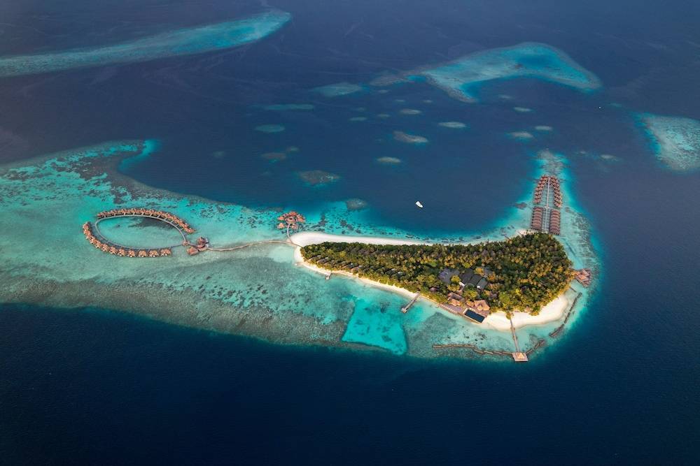 Coco Bodu Hithi 50 percent off shared roundtrip Speedboat for stays from 1 May to September 2025