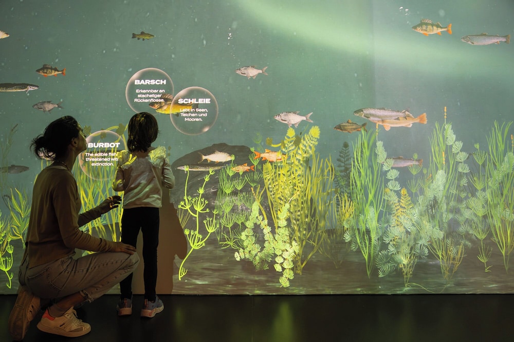Children's activities