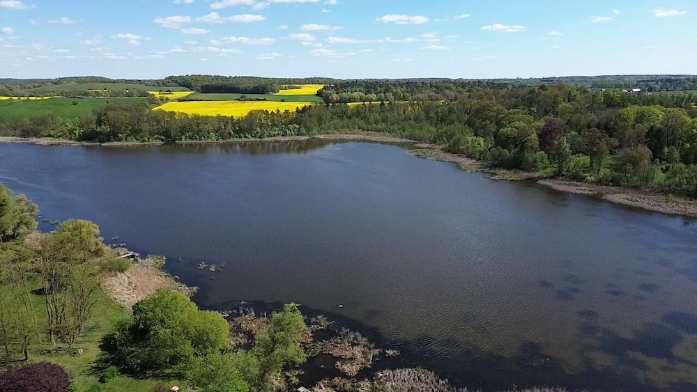 Lake view