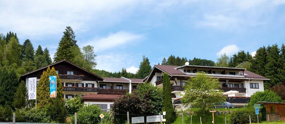 Primary image